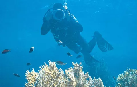 Buceo en los  mejores destinos del mundo