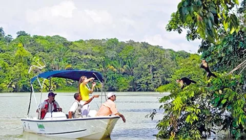Disfrutando de una expedición en Gatún