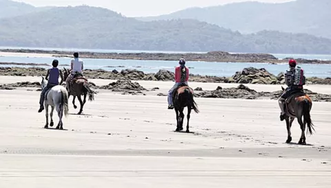 Estero y Punta Brava, más allá de Santa Catalina