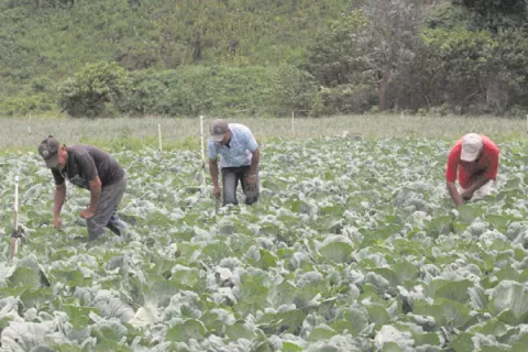 Productores podrían ir a las calles nuevamente