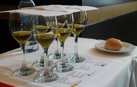 7 puntos fascinantes que se aprenden en una cata de aceite de oliva