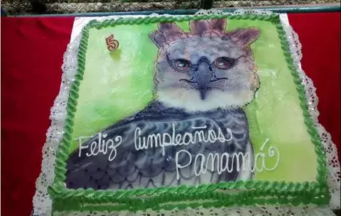 Celebración de los cinco años del águila harpía "Panamá" 