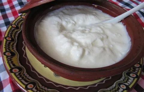 La calidad y beneficios superiores del yogur búlgaro