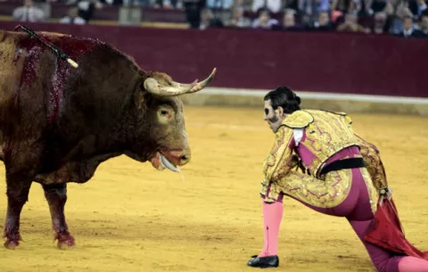Portugal: niños y toros en la mira de la ONU