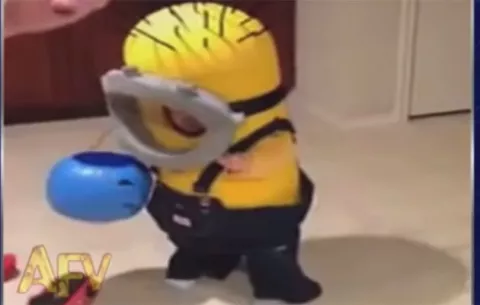 El niño no puede con su disfraz de minion #Video