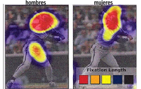 Lecciones sobre en qué se enfoca la mirada de las mujeres vs los hombres