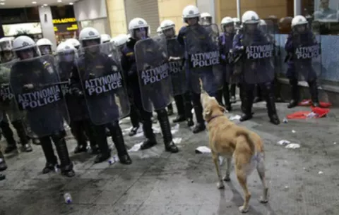 Le dicen adiós a Lukánikos, el perro rebelde de Grecia 