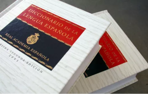 Director de la RAE subraya la "gigantesca" riqueza del español en América