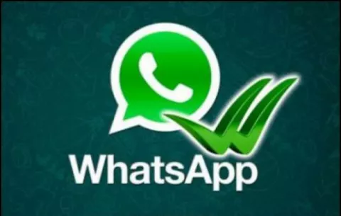WhatsApp ha lanzado un "espía", pero el usuario es libre para eludirlo o no