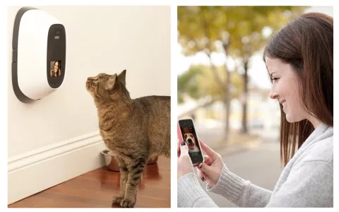 Nuevo webcam para el mascota y hasta puedes premiarle