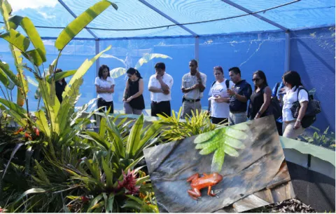 Exóticas ranas venenosas se instalan en hotel a orillas del Canal de Panamá
