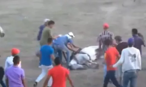 Descuartizan vivo a caballo para vender su carne