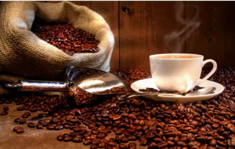 Descubren en Brasil proteína en el café con efectos similares a la morfina