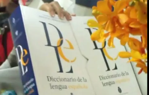 Panameñismos del nuevo Diccionario de la lengua española
