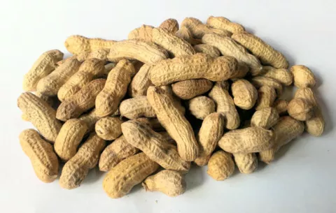 Consumir cacahuetes en la primera infancia reduce riesgo de alergia a ellos