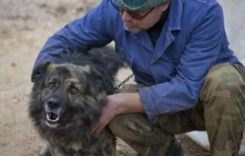 Tribunal croata prohíbe que perro ladre por la noche 