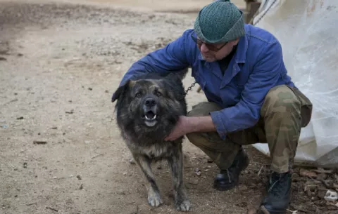 Tribunal croata prohíbe que el perro de nombre Medo ladre por la noche