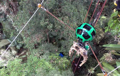 La nueva aventura de Google Maps está en la selva amazónica