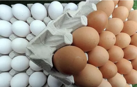 Condenas de hasta 15 años de cárcel para acusados de robo de huevos