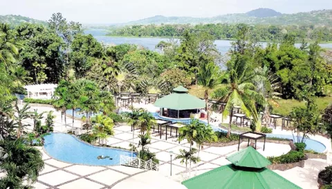 Biodiversidad en medio del río Chagres