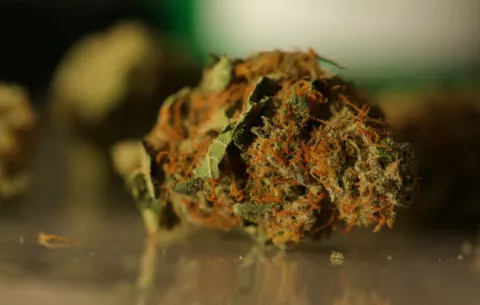 Ohio: Inventan dispositivo para detectar uso de marihuana