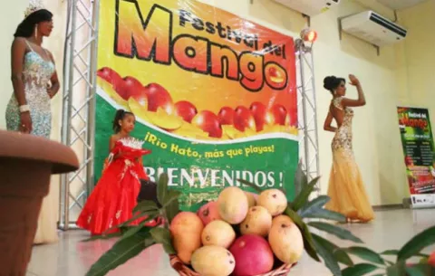 Exhibirán 40 variedades de mango en Río Hato 