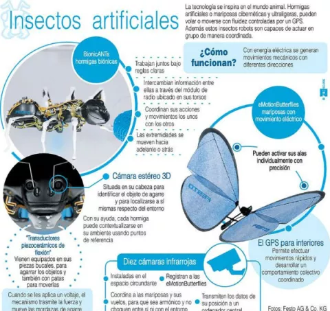 Trabajan en nuevas tecnología para estudiar los insectos