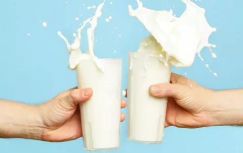 ¿Cómo se volvió la leche un producto favorito de nuestra dieta?