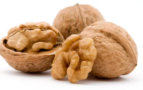 ¿Qué alimentos te ayudan a mantener una buena salud cardiovascular?