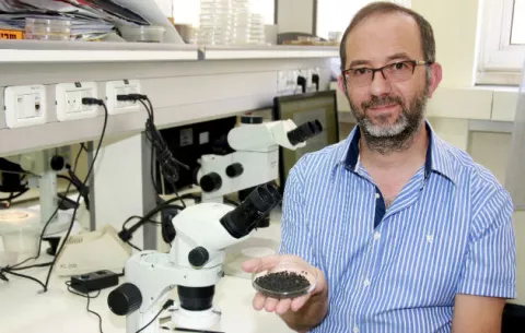 Primeros albores de la agricultura datan de hace 23,000 años