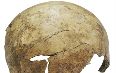 Hallan evidencias de una masacre prehistórica