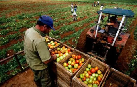 Mala alimentación causa muertes prematuras