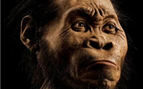 Descubren nueva especie humana: Homo naledi 
