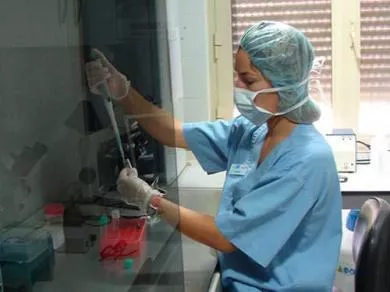 Autorizan  inseminación artificial para mujeres de más de 50 años