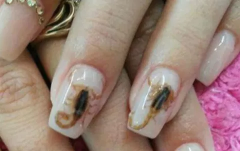 Alacranes en la uñas, en Durango