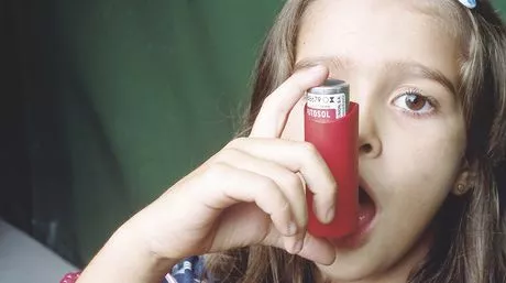 Cuatro bacterias intestinales protegen a los niños del asma