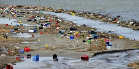 Científicos advierten sobre los residuos encontrados en pescados