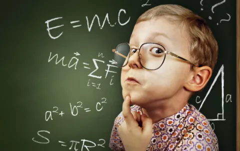 Un cerebro más grande no es sinónimo de mayor inteligencia
