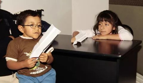 Expertos injertarán células madre en fetos para tratar enfermedades de huesos