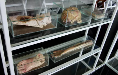 Exhiben extremidades y cabezas humanas hechas de pan