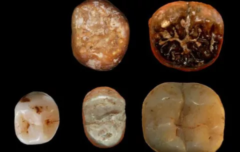 Descubren cómo comían nuestros ancestros hace unos 400 mil años