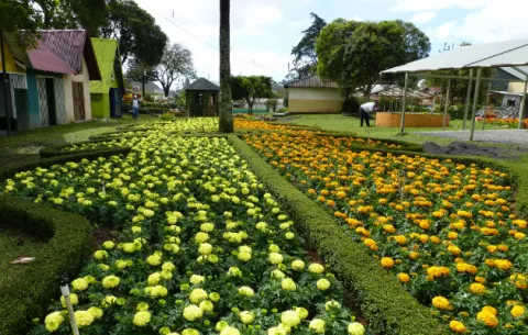 Boquete: un paraíso entre flores, montañas y aves