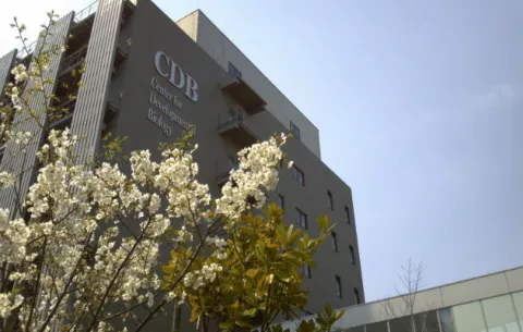 La cosmopolita Kobe busca ser epicentro de la innovación biomédica en Asia