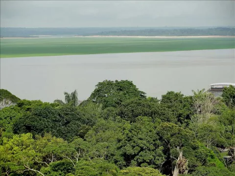 La Amazonía, camino de convertirse en sabana pero no tan rápido como se teme