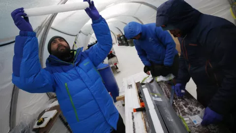 Nanopartículas de la Antártida servirían para marcar células tumorales