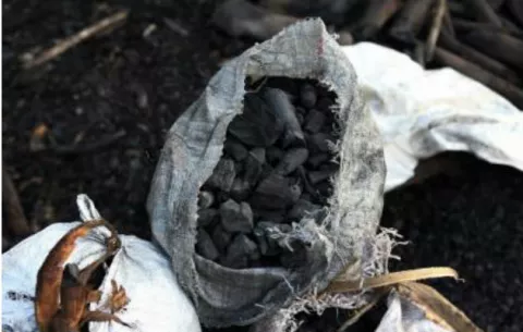 Siberia premia con carbón a una mujer que adelgazó 30 kilos