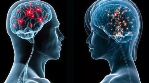 Científica israelí descarta la existencia de cerebros masculinos o femeninos