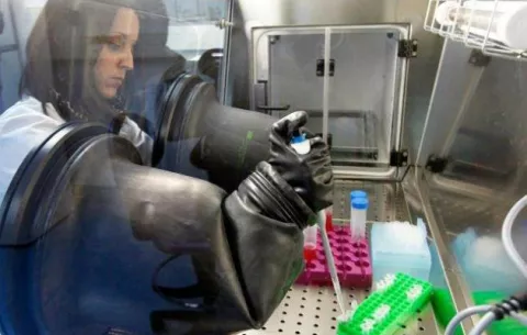 Científicos chinos están listos para clonar seres humanos