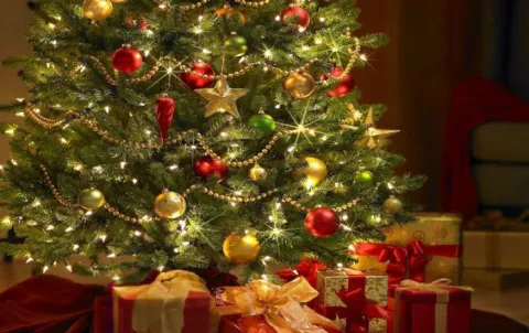 El árbol de Navidad, sus orígenes y sentido cristiano