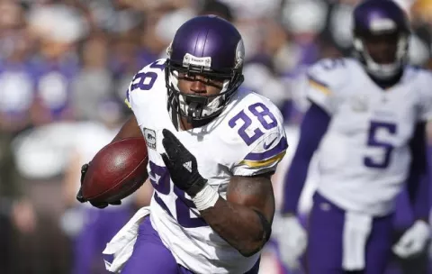  Viking y Packers,  por  título divisional 